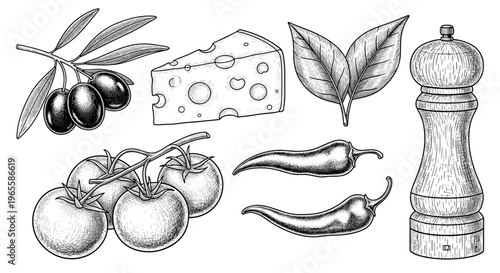 Vintage hand drawn food sketches of olives cheese basil cherry tomatoes chili peppers and pepper mill