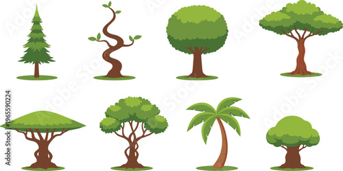 Collection of various green tree types including pine palm oak and tropical species for nature environment and landscape design concept flat vector