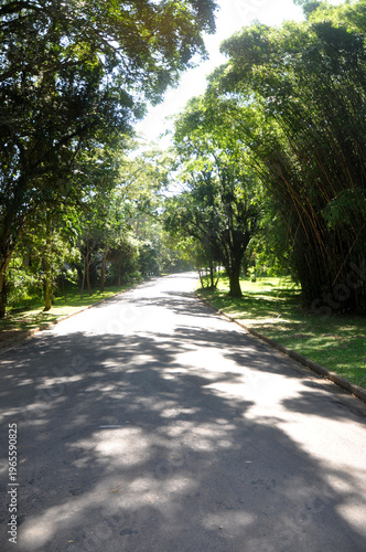 Jardim Botanico-São Paulo 