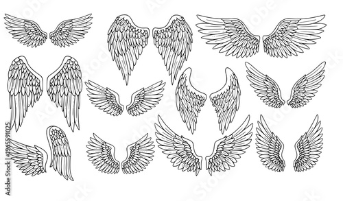 Collection of various angel wing illustrations in different styles and positions