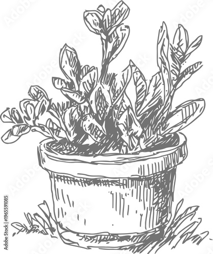 Potted plant with bushy leaves hand drawn sketch, garden greenery illustration in vintage