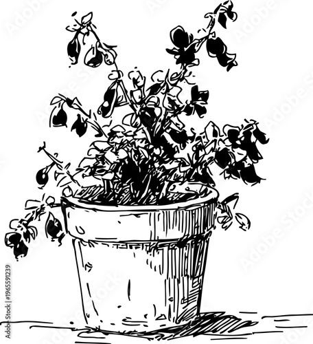 Potted flower plant in clay pot sketch with detailed leaves and blooms, botanical garden illustration
