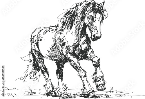 Black and white sketch of a horse walking on grass, detailed hand drawn animal illustration