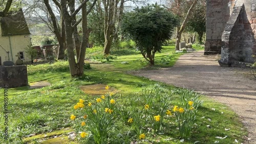 4K Video -Spring. Daffodils and blossom in an English Country churchyard on a bright sunny day. No peope in picture. 