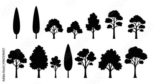 Black  White Tree Silhouettes Vector Graphics - Nature  Ecology