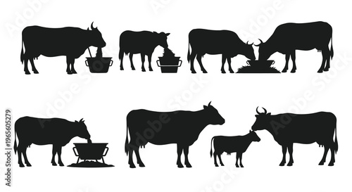 Black  White Silhouettes of Cows Drinking Water from Troughs