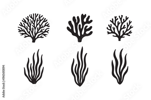 A collection of black and white line art depicting various types of coral and marine algae