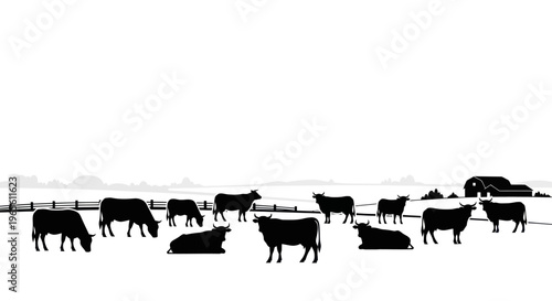 Black  White Silhouette of Cows Grazing on Farm with Barn