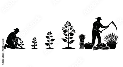 Farmer planting crops, growing plants, harvesting wheat with scythe, agriculture