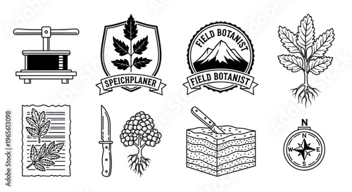 Botanical Field Icons Set, Black and White Line Art, Vector Collection