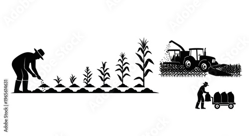 Farmer planting and harvesting corn with tractor, agriculture, black and white