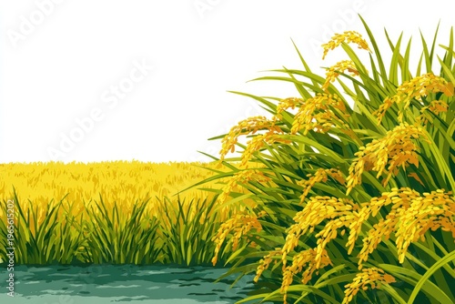 Illustration of golden rice stalks and field under sunlight