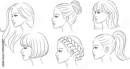 Hair illustration set featuring diverse feminine hairstyles including braids buns ponytails bobs and long flowing waves