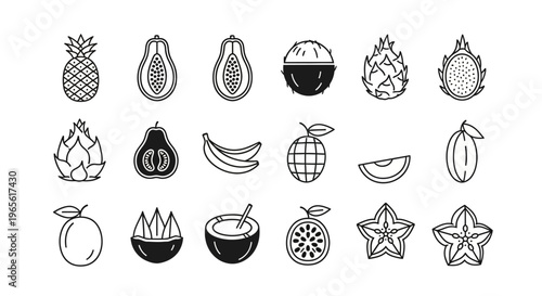 Variety of Exotic Fruit Illustrations.