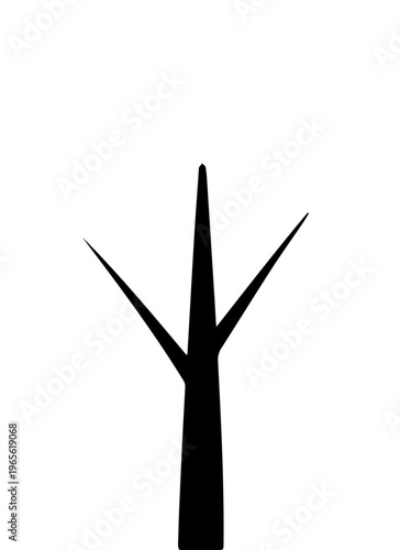 silhouette of a cactus