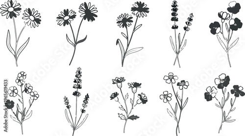 Hand drawn wildflower botanical sketches, set of 10 black ink floral line art icons, minimalist garden flower vector illustrations for wedding stationery