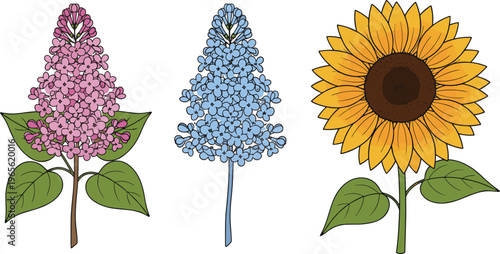 Sunflower and lilac botanical set featuring pink blue and yellow spring flowers flat vector illustration