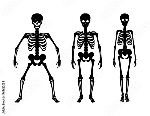 Human bone skeleton icon set with solid black line art design featuring anatomy, skeleton, medical illustration with healthcare and education