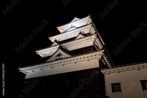 夜の大洲城の風景（大洲市）