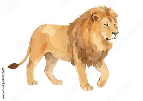 Watercolor-style majestic lion illustration, king of beasts, african wildlife safari animal／水彩　ライオン