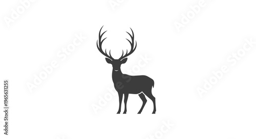 Stag with Large Antlers Standing.