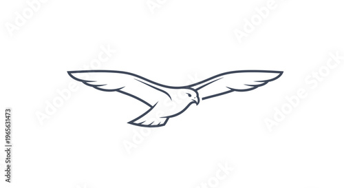 Seagull flying in the air.