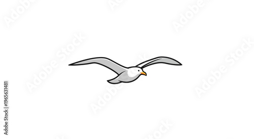 Seagull flying in the air freely.