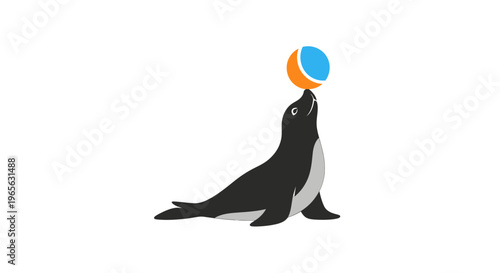 Seal Playing with Colorful Beach Ball.