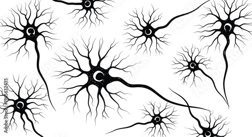 Neurons Isolated on White Background