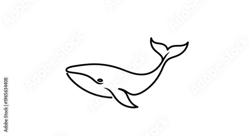Photos Whale Swimming in Ocean Water.