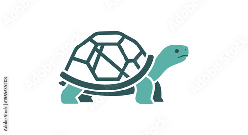 Turtle Shell Animal Side View.