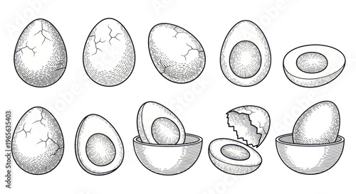 Hand-drawn Cracked Eggs and Halved Eggs Collection, Sketch Style