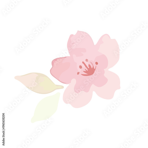 Watercolor-style lovely cherry blossom flowers, sakura spring botanical illustration, pink and white／水彩　桜