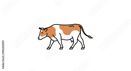 Brown and white cow walking alone.