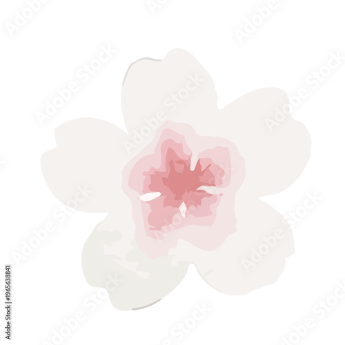 Watercolor-style lovely cherry blossom flowers, sakura spring botanical illustration, pink and white／水彩　桜