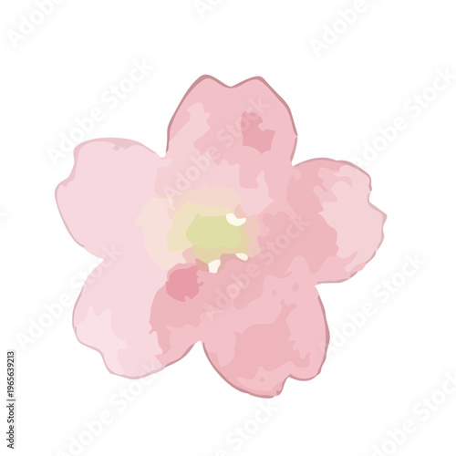 Watercolor-style lovely cherry blossom flowers, sakura spring botanical illustration, pink and white／水彩　桜