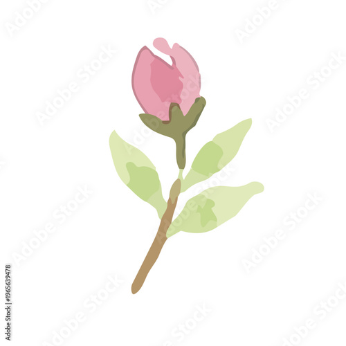 Watercolor-style lovely cherry blossom flowers, sakura spring botanical illustration, pink and white／水彩　桜