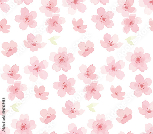 Watercolor-style lovely cherry blossom flowers, sakura spring botanical illustration, pink and white／水彩　桜