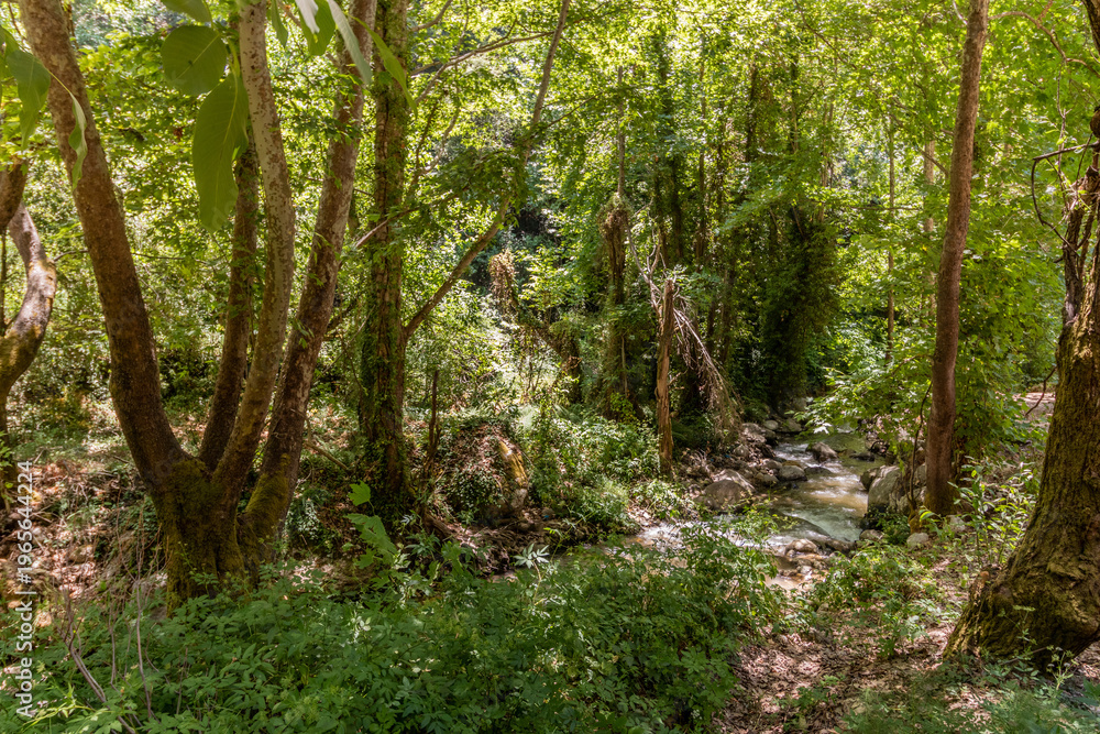 Fototapeta premium Creek in Qadisha valley, Lebanon