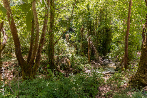 Creek in Qadisha valley, Lebanon