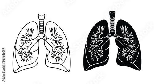 Human lungs with trachea and bronchi in black and white vector illustration
