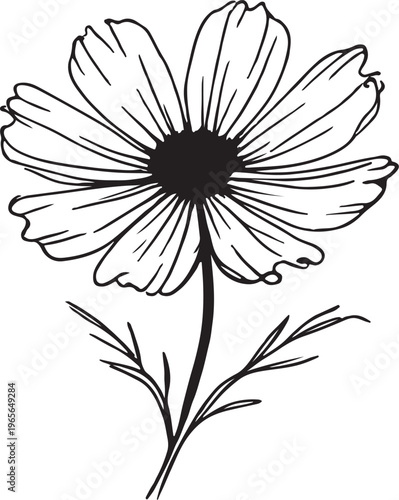 chocolate cosmos flower silhouette vector