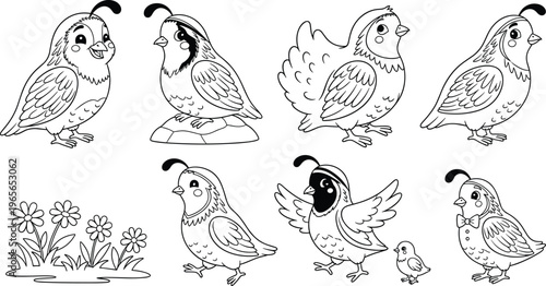 Cute Quail Bird Cartoon Set Featuring Playful Poses, Flowers, and Baby Birds for Kids' Fun Learning and Activity Books