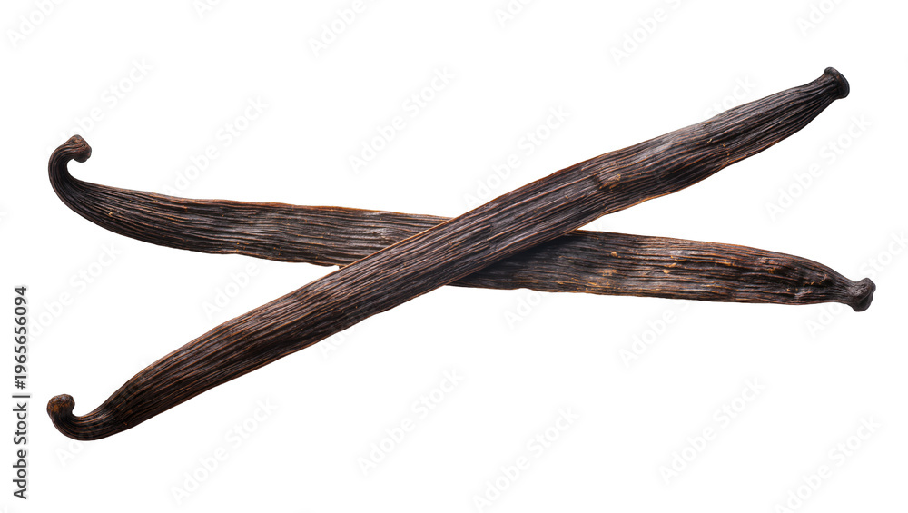 Obraz premium Two dark brown textured aromatic vanilla pods naturally crossed, isolated on transparent background for gourmet cooking and baking