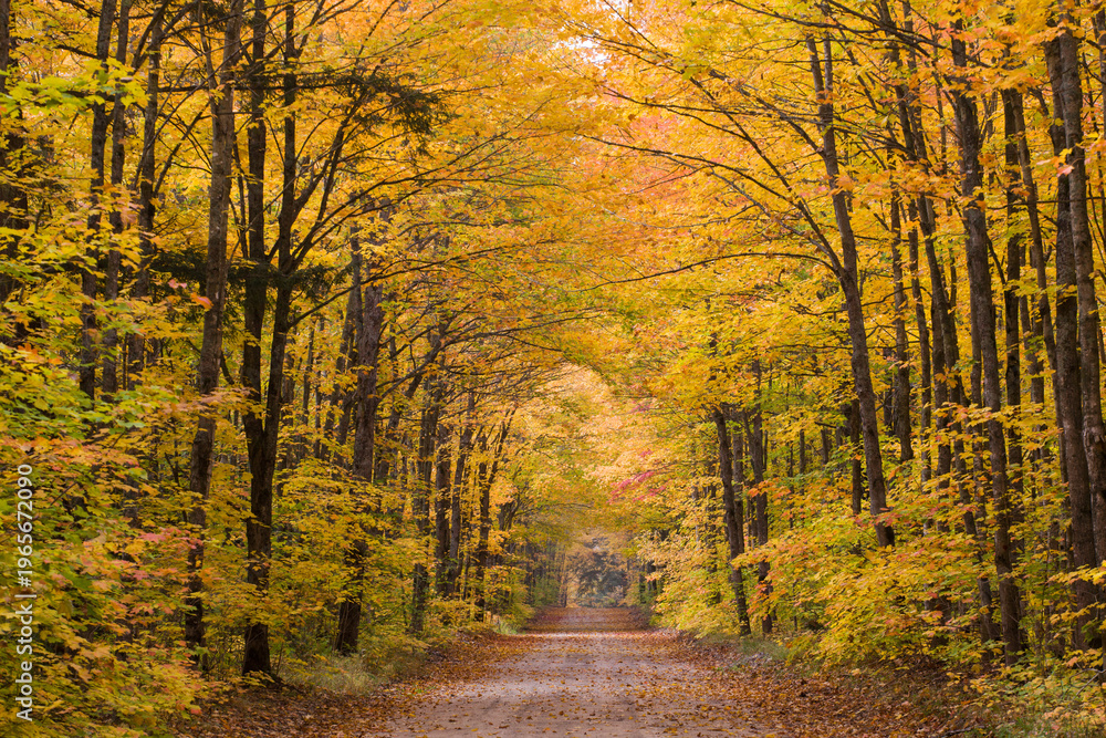 Fototapeta premium 64776-01404 Road in fall color Schoolcraft County Upper Peninsula Michigan