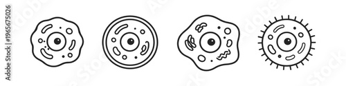 Set of stylized cell icons with nucleus and organelles in simple line art