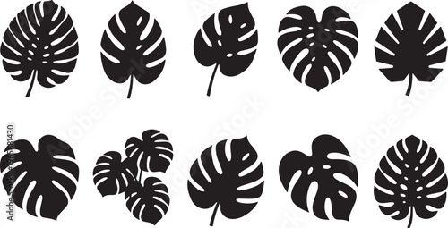 Black and white floral pattern with ten different stylized flowers petals symmetry