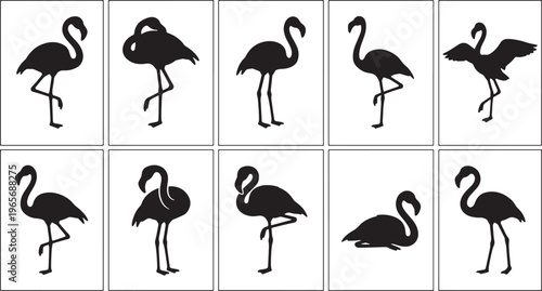 Black silhouette of various bird species in flight and perched positions