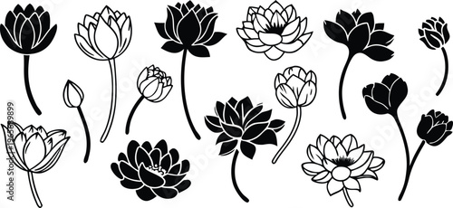 Black and White Lotus Flowers and Buds Vector Set