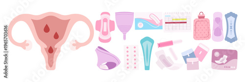 Flat Menstrual Hygiene Products and Female Reproductive Anatomy. Hygiene Pad Illustration Set
